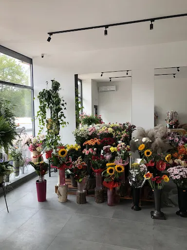 Kwiaciarnia Szarotka